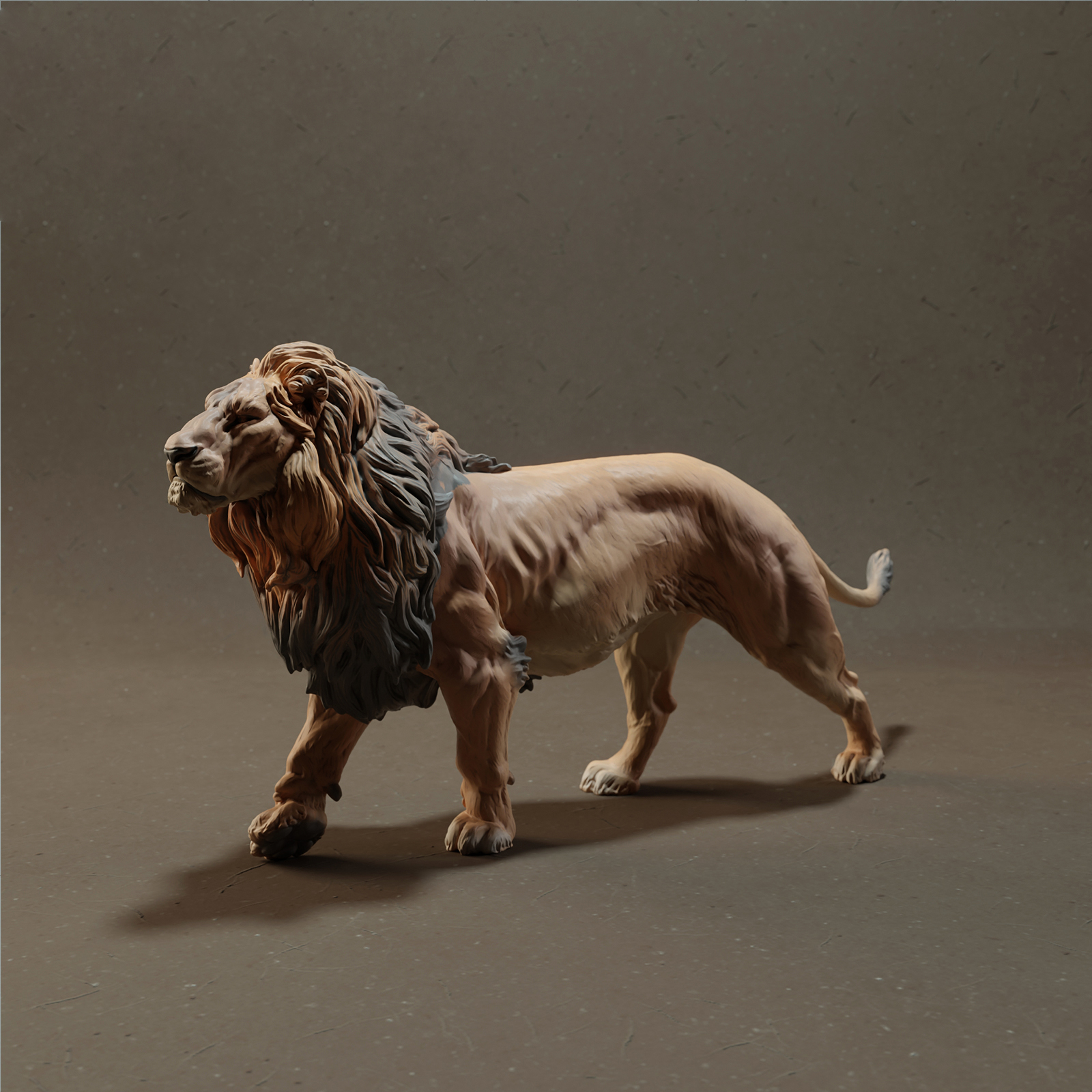 狮子大象犀牛野牛豹子-lion-1